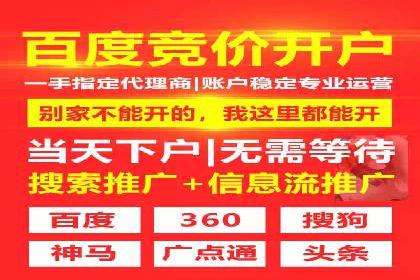 广告行业中的信息流大师：成功案例解析